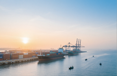 服裝進口有高招，國際海運貨代來助力