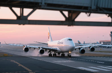 上海國際貨代：全球供應鏈樞紐的數字化轉型與生態重構